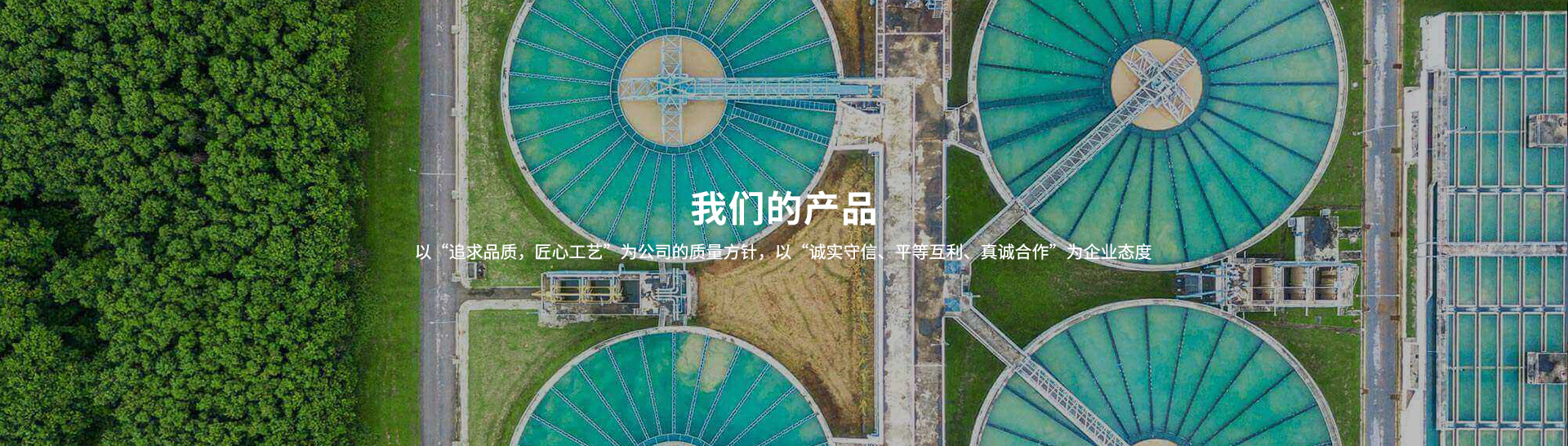 焊接式衛(wèi)生級止回閥